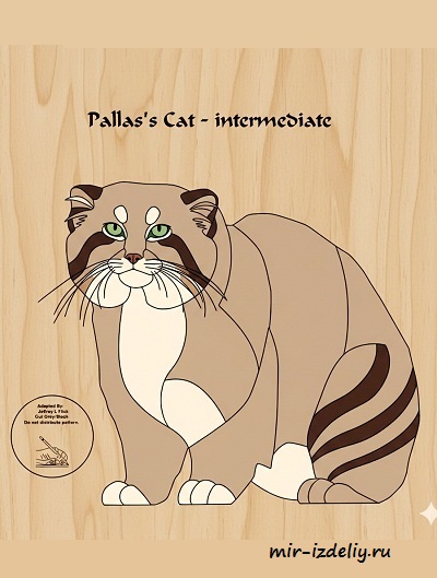 Чертеж: Манул интарсия для выпиливания лобзиком